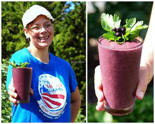 Happy Hemp History Week Wednesday! Did you know that they feature Bob's Red Mill Raw Hemp Protein in their 'Zack Attack' Smoothie?! It's one of the best ways to start the day! Organic Strawberries, Blueberries, Bananas, Agave, Udo's Choice Oil! at Sprouts Cafe in Gastonia