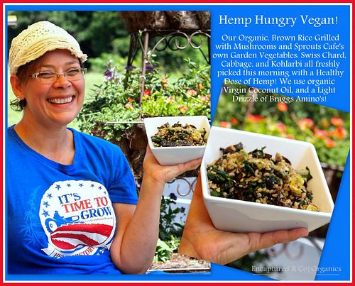 Hempy Hungry Vegan: Organic Brown Rice with Mushrooms and Sprout's own Garden Vegetables: Swiss Chard, Cabbage & Kohlrabi all picked this morning! They use Organic Virgin Coconut Oil, a Light Drizzle of Bragg's Aminos and a Healthy Dose of Hemp!  at Sprouts Cafe in Gastonia