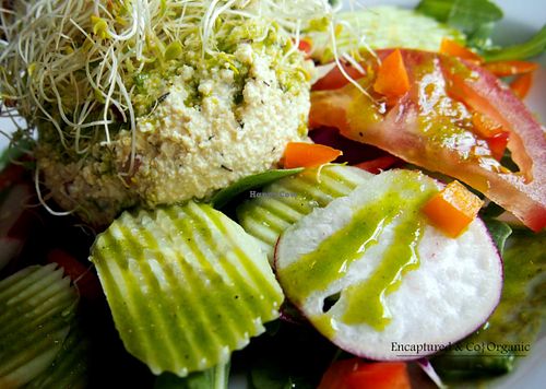 Happy Meatless Monday! Mock Chicken Salad served atop Baby Spinach and Arugula with a White Wine and Fresh Herb Dressing, Radishes, Carrots, Tomatoes, Cucumber and Fresh Sprouts!  at Sprouts Cafe in Gastonia