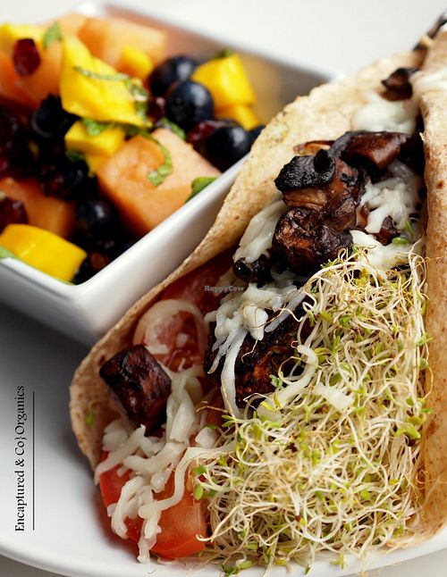 Caramelized Onion Mushroom Veggie Burger Wrap! Housemade, White Bean, Quinoa and Hemp Seed Veggie Burger topped with Basil Aioli, Mozzarella Cheese, Sprouts,Tomato, Caramelized Red Onion and Balsamic Mushrooms on a Rudi's Bakery 7-Grain Wrap!  at Sprouts Cafe in Gastonia