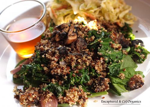 Today's special is a Mushroom Kale Quinoa Saute with Grilled, Organic Portabella &amp; Crimini Mushrooms, Kale Zucchini, Red Onion, and Tri- Color Quinoa seasoned with a Mushroom Au Jus! at Sprouts Cafe in Gastonia
