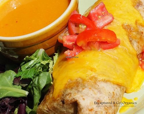 Happy Meatless Monday! Garden Veggie and Brown Rice Burrito! Sprouts Cafe and Cellar's Garden Veggies, Grilled and Seasoned on a Maria & Ricardo's Tortilla Factory Sundried Tomato Wrap with Cheddar Cheese & Chipotle Aioli!  at Sprouts Cafe in Gastonia