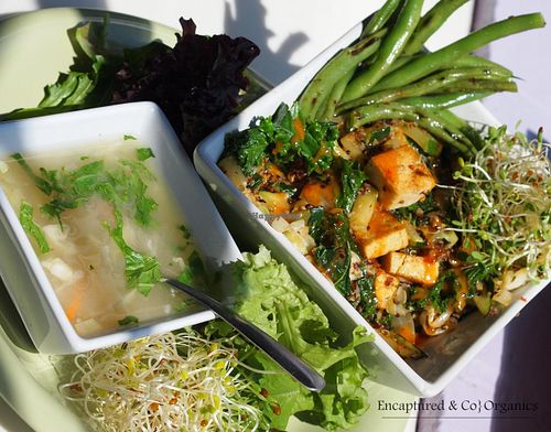 Sweet Chili Veggie Tofu Stir Fry! Organic, Fresh Veggies: Cabbage, Kale, Carrot, Zucchini, Crimini Mushrooms and yellow Onion with Extra Firm Tofu Stir fried with Tri Color Quinoa and Shelled Hemp Seeds and tossed with Asian Sweet Chili Sauce! at Sprouts Cafe in Gastonia