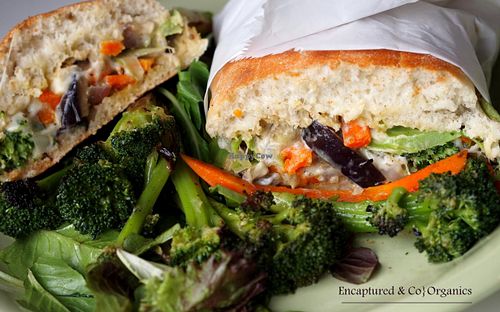 Grilled Veggie & Cheese Sandwich! Organic and Garden Fresh Veggies including Italian Zucchini, Carrots, Green Cabbage, Egg Plant, Onion and Broccoli grilled, seasoned, and topped with Parmesan, Romano, and Mozzarella Cheeses on a Toasted Tolera Roll! at Sprouts Cafe in Gastonia