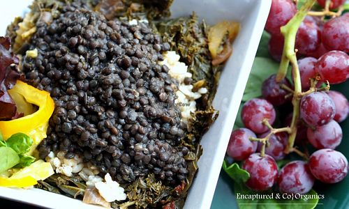 Braised Kale, Black Bean, Lentil, and Brown Rice Bowl! Delicious, Organic Braised Kale with Tomato, Onion, Carrot, Garlic, Celery, Herbs, and Spices Topped with Brown Rice and Seasoned Black Lentils!  at Sprouts Cafe in Gastonia
