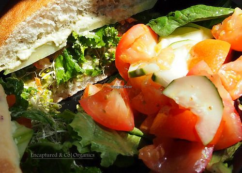 Summer Veggie Sandwich! Seasoned, Grilled, Sprout's own Garden Fresh Eggplant, Sprouts, Tomato, Cucumber, Fresh Avocado, Simple, Marinated, Kale and Carrot Salad, Herby Goat Cheese and Basil w/White Bean Hummus.  at Sprouts Cafe in Gastonia