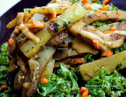 Asian Style Grilled Veggies over Peanut Kale Salad! Grilled Eggplant and Summer Squash from our own garden, Portobello Mushrooms seasoned with Chinese Fire Spice and Garden Basil served on a bed of Thai-Peanut Kale Salad with Roasted Hemp Hearts!  at Sprouts Cafe in Gastonia