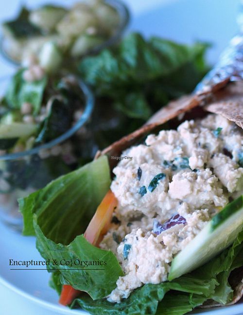 Mock Chicken Salad made with Tofu, Celery, Onion, Garlic, Vegenaise, Nutritional Yeast, Herbs and Spices on a Warm, 7-Grain Flax Tortilla with Fresh Tomato, Crisp Romaine Lettuce, and Cucumbers!  at Sprouts Cafe in Gastonia