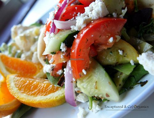 Veggie Gyro! Seasoned, Grilled Veggies, Kale, Cabbage, Butternut Squash, Yellow Squash, and Celery topped with a Tomato & Cucumber White Balsamic Salad, Crumbled Feta, and Creamy Tzatziki Sauce folded into a Warm Grilled Pita!  at Sprouts Cafe in Gastonia
