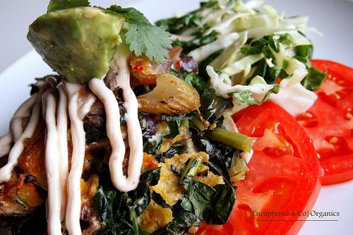Mexican Veggie Lasagna w/seasoned, oven roasted veggies layered between gluten free sprouted grain corn tortillas with pepper jack cheese, served atop a lime cilantro cabbage salad and garnished with avocado, sprouts w/farmer's market RIPE tomatoes!  at Sprouts Cafe in Gastonia