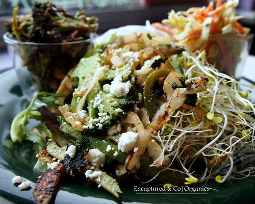 Meatless Monday's Grilled Green Veggie Pita! Grilled, Seasoned, Organic Veggies including Cabbage, Kale, Broccoli, Celery, Zucchini, Peppers, Onion on a Grilled Pita with Basil Aioli, Mixed Greens, Sprouts, Marinated Cucumbers, and feta!  at Sprouts Cafe in Gastonia
