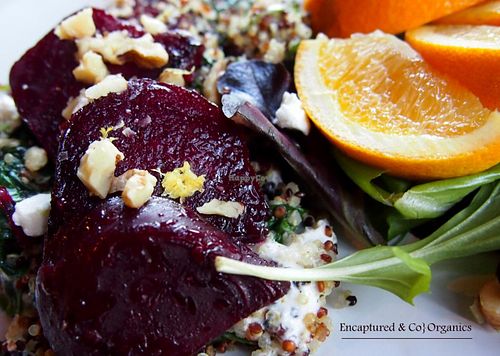Grilled Beet with Tricolor Quinoa, Fresh Spinach & Goat Cheese Plate! Organic Beets, Steamed & Grilled atop Protein Packed Tricolor Organic Quinoa tossed with wilted Spinach, Goat Cheese, and Lemon Zest with Walnuts!  at Sprouts Cafe in Gastonia