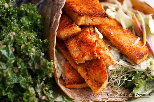 Buffalo Grilled Tofu Wrap is Organic, Non-GMO Tofu marinated in a traditional buffalo sauce, grilled & seared on a 7 grain wrap with Spring Mix, Sprouts, and a Tangy Blue Cheese Cole Slaw! at Sprouts Cafe in Gastonia