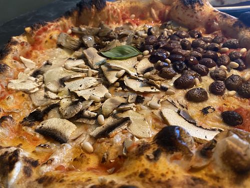 Pizza with championg, vegan cheese, artichoke and olives   at Cibo in Haugesund