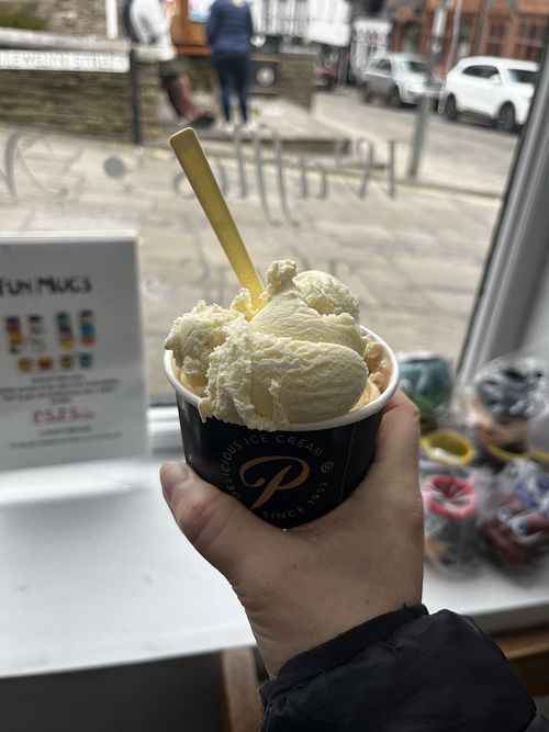 Vegan vanilla and raspberry ripple ice cream  at Parisella's Ice Cream Parlour in Conwy