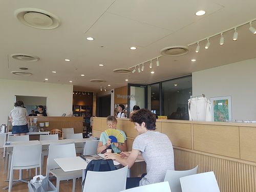 Cafe at Benesse House Museum Cafe - ベネッセハウス ミュージアムカフェ in Naoshima