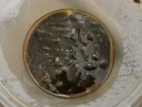   at The Plant-Based Project in Taguig