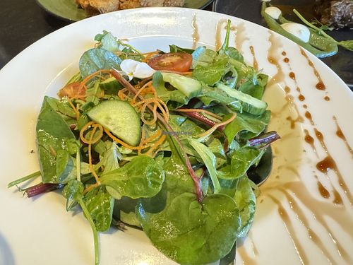   at Pink Salt in Bray