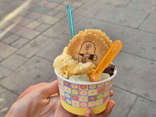  at Ice Dreams in Ibiza