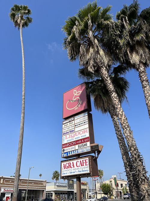 My Vegan Gold  at My Vegan Gold in Los Angeles