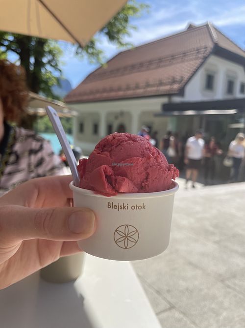 Raspberry icecream   at Potičnica in Bled