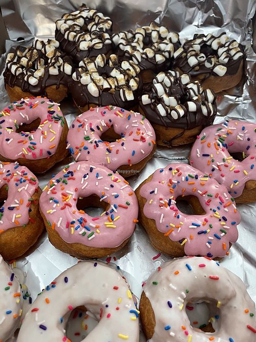 Vegan donuts   at Harbor Fox Coffee Bar in West Dennis
