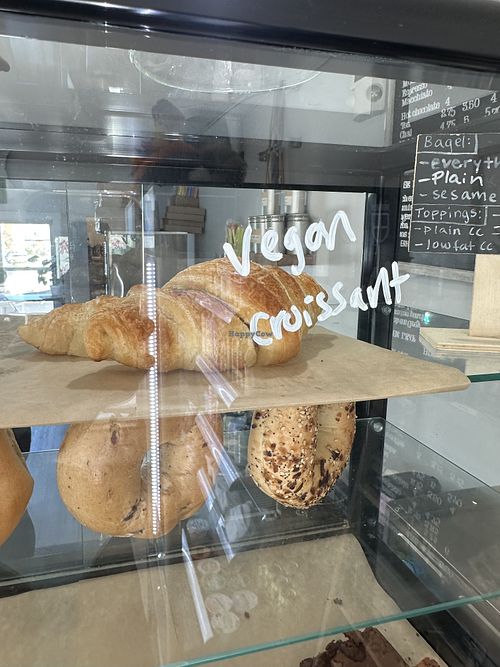 It’s vegan!  at Harbor Fox Coffee Bar in West Dennis