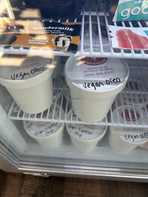Vegan ice cream for sale  at Harbor Fox Coffee Bar in West Dennis