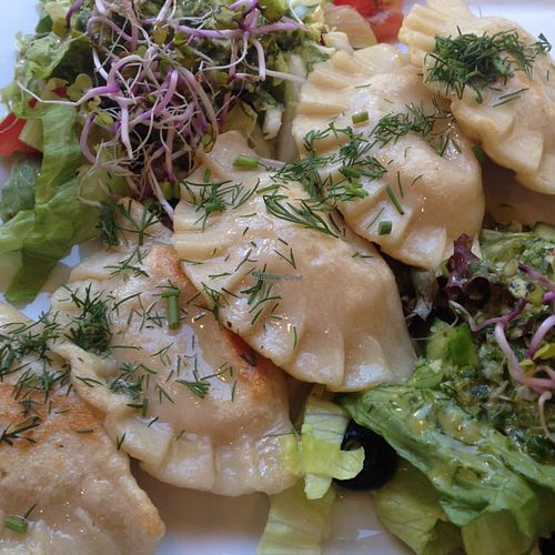 Pierogi Ruskie  at Avocado Vegan Bistro in Gdansk