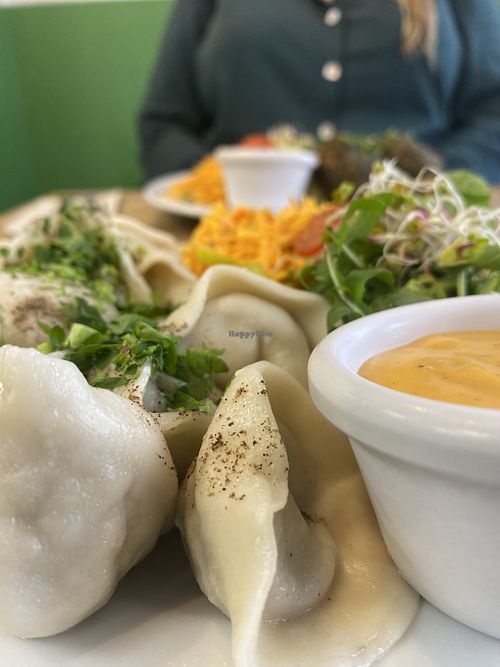 dumplings  at Avocado Vegan Bistro in Gdansk
