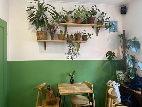 loooove tha plants  at Avocado Vegan Bistro in Gdansk