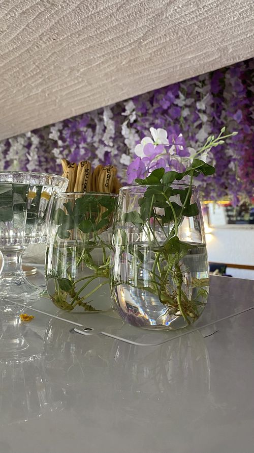   at Oasis Sempach in Sempach