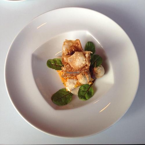 appetizer  at Mio Matto in Berlin