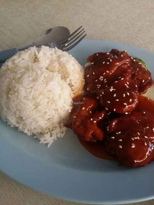 spare rib rice  at Yuan Xiang Vegetarian in Northeast Singapore