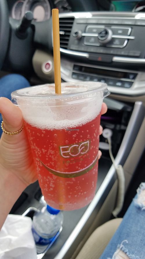 Passionfruit kombucha on tap at Eco-Bean Organic Coffee House in Tarpon Springs