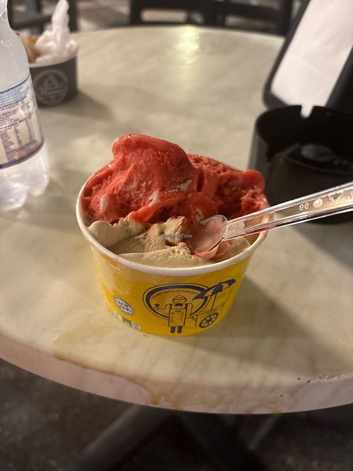 Had some flavours of vegan gelato , I got hazelnut and strawberry ! Was really delicious .  at Gelateria Mimmo in Tropea