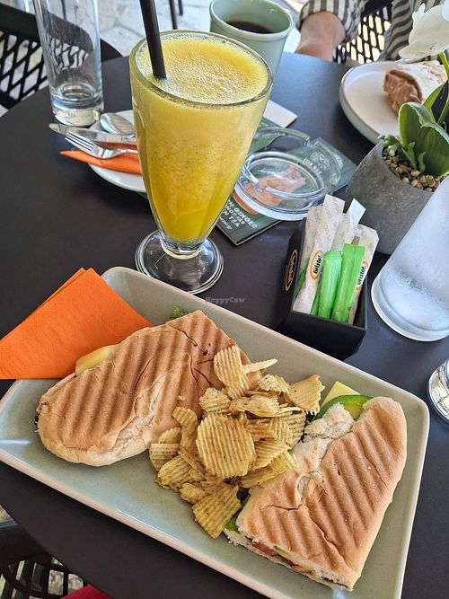 Vegan sandwich and freshly pressed juice at Kanile Coffee Shop in Corfu