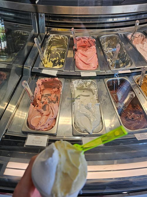 Vegan Gelato options at Solvang Flavors in Solvang