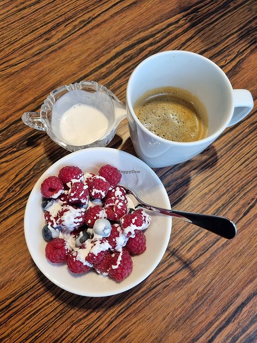 Fresh berries with vegan cream at Kaffistova in Omastranda