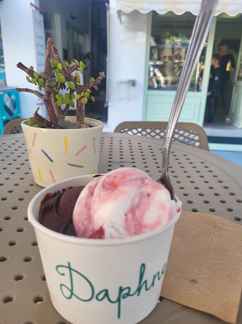 Chocolate and yoghurt vegan ice cream at Daphne's in Patmos