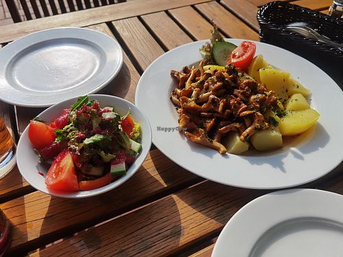 Salat (4,50) und Pfifferlinge mit Kartoffeln (14,60) at Luisenhof in Stechlin