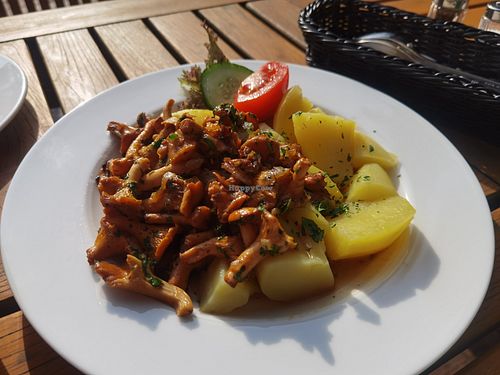 Pfifferlinge mit Kartoffeln (14,60) at Luisenhof in Stechlin