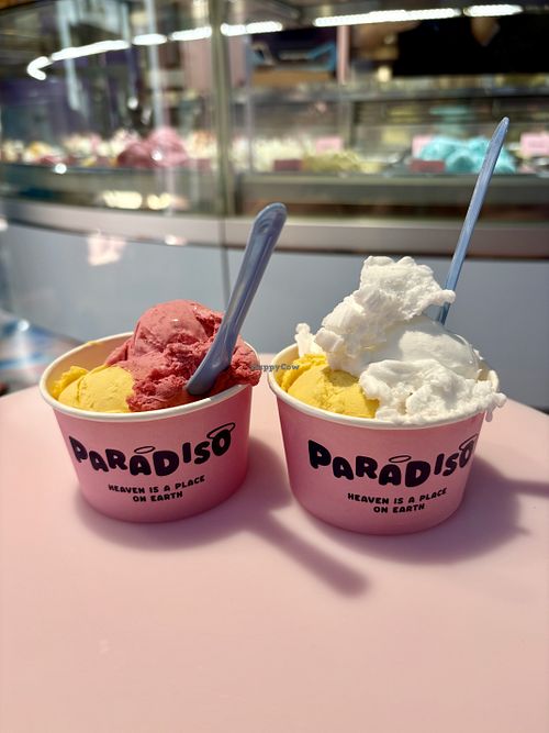 Mango, raspberry, lemon🩷  at Paradiso Harderwijk in Harderwijk