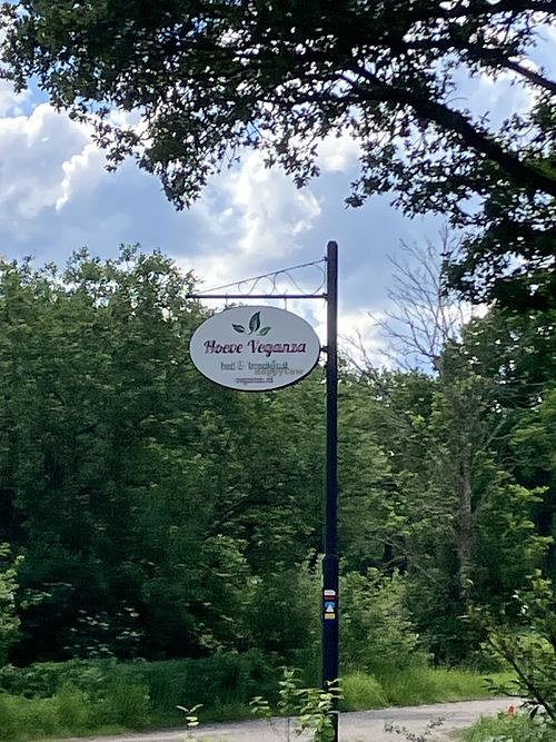 Hier dus  at Hoeve Veganza B&B in Vlagtwedde