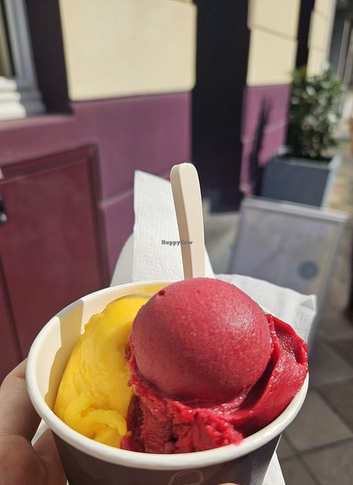 Mango & Cassis/Wacholder at Keiserlich Deutsche Eismanufaktur - Partnerstore Düsseldorf in Dusseldorf