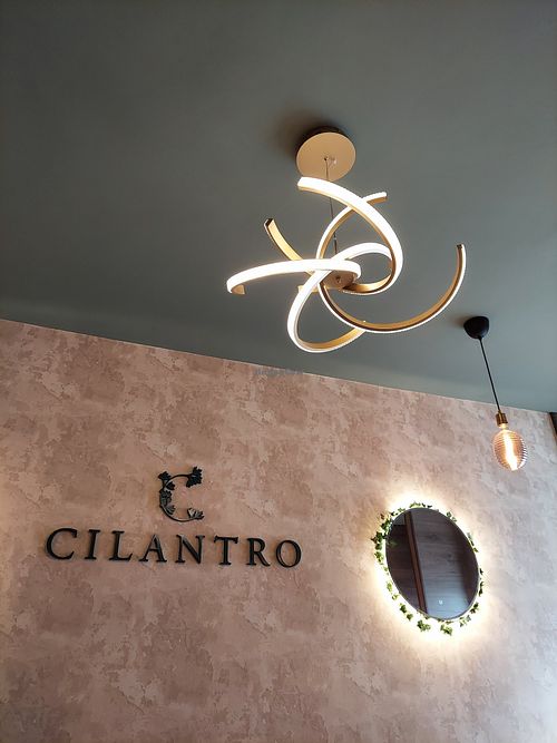 Inside at Cilantro in Edinburgh