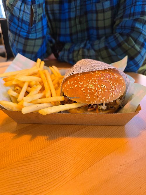 Spicy mushroom burger and fries at Everdale Cafe & Gelato in Springvale