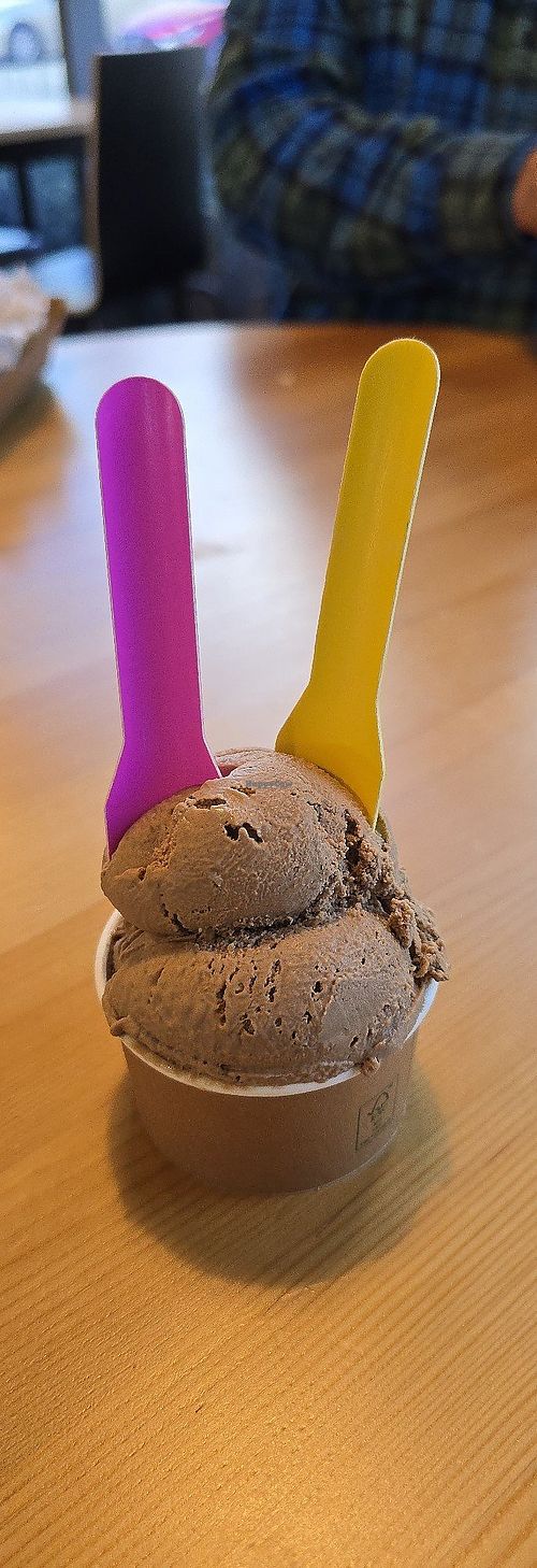 Chocolate hazelnut gelato at Everdale Cafe & Gelato in Springvale