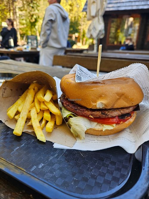 Vegan Burger + Fries at Buffet Slap in Rastovaca