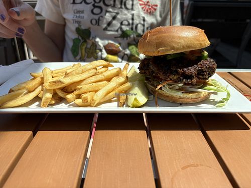 Baja Burger (order with NO cheese to make it vegan!) and very nicely seasoned fries  at Arbor Brewing Plymouth Taproom in Plymouth